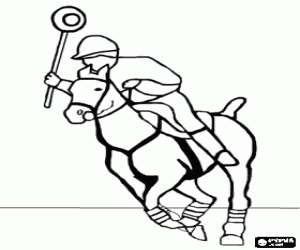 Player and horse practicing polocrosse, equestrian sport, combination of polo and the lacrosse coloring page