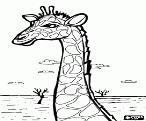 Portrait of the head of a beautiful giraffe  coloring page