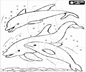 Puzzle of group of dolphins jumping coloring page