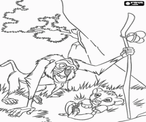 Rafiki, the baboon Simba