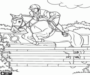 Rider and horse participating in a jumping contest coloring page