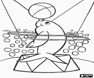 Seal doing an exercise in the circus with hoops spinning around its body and a ball in the nose coloring page