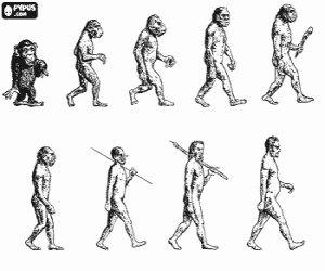 Sequence of human evolution from australopithecus Lucy to modern man passing among others by men of Heidelberg, Beijing, Neanderthal and Cromagnon coloring page
