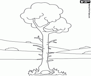 Solitary tree in a landscape with little vegetation coloring page