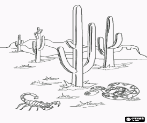 Sonoran Desert with the famous saguaro cactus, a scorpion and a snake coloring page