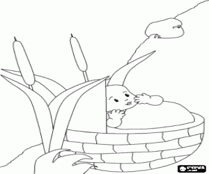 The baby Moses in his little basket stranded on the banks of the Nile coloring page
