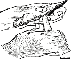 The hands of a Neanderthal man working on tools using wood or bone for carving stone coloring page