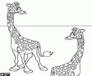 Two giraffes happy and fun coloring page