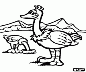 Two ostriches in the landscape, the ostrich is a flightless bird coloring page
