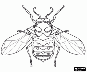 Wasp with compound eyes kidney-shaped curved coloring page
