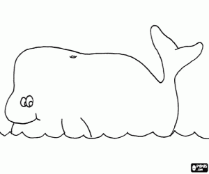 Whale coloring page