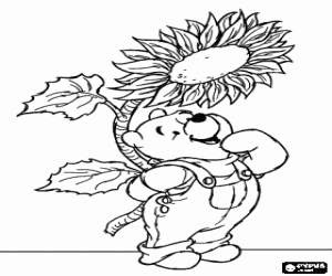 Winnie The Pooh happy with a large sunflower coloring page