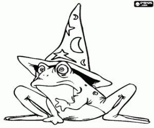 Witch or wizard turned into a frog through a magic potion coloring page