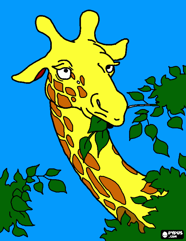 A giraffe coloring page