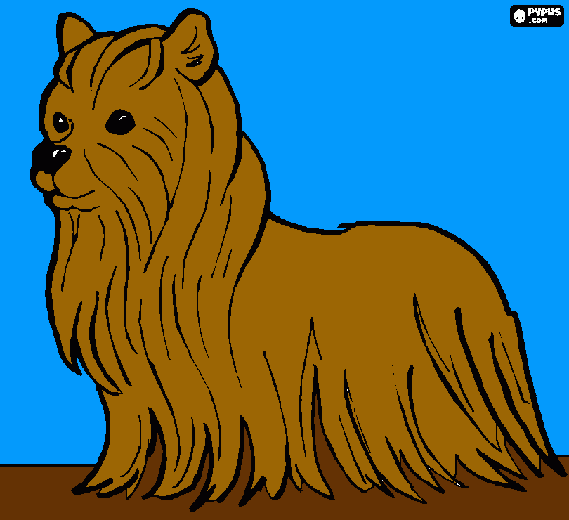 a puppy on a sidewalk coloring page