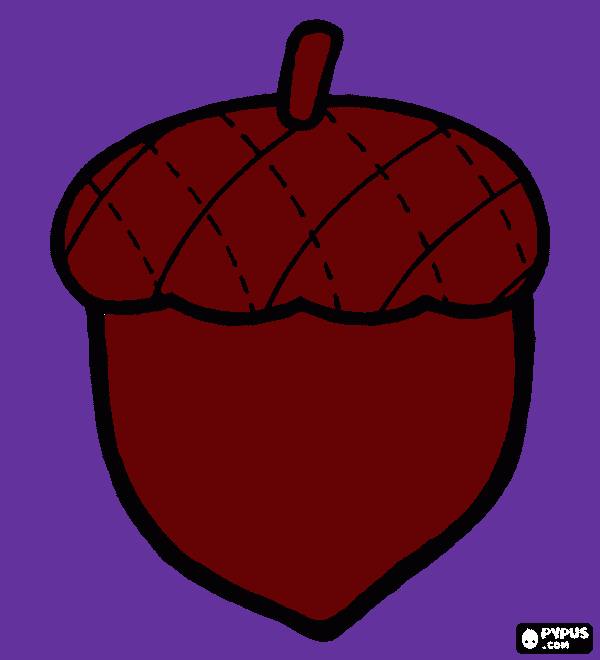 acorn coloring page