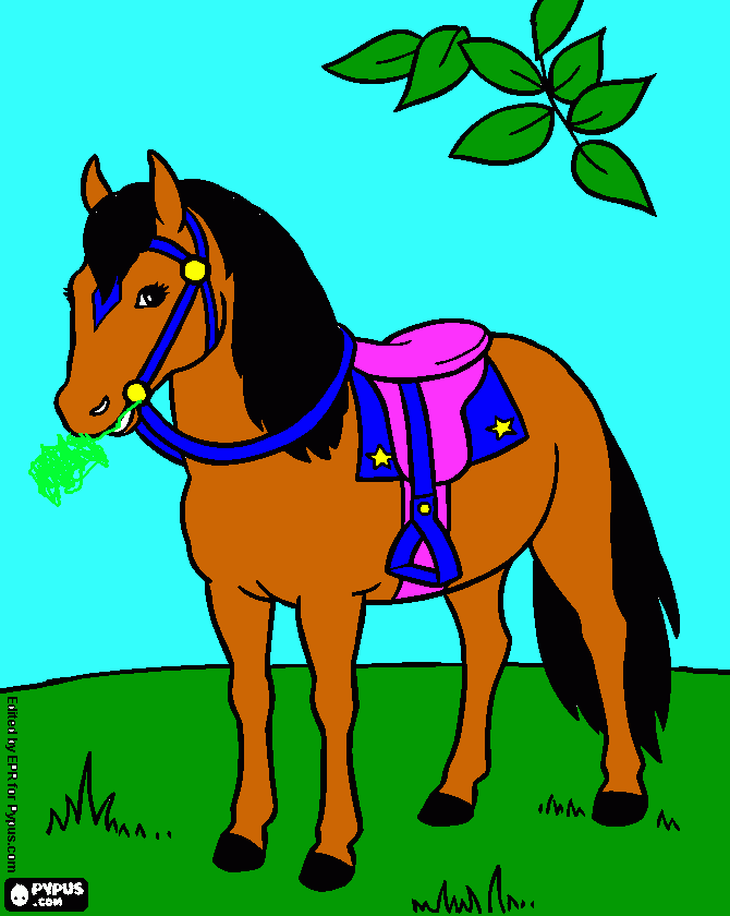 arwa coloring page