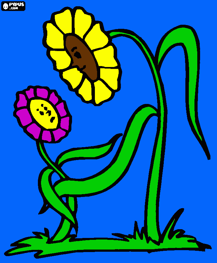 beautiful flower coloring page