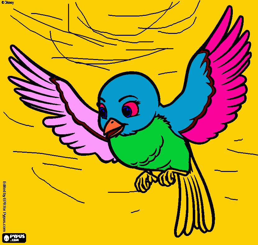 bird drawing  coloring page