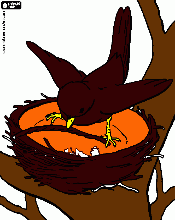 bird in nest coloring page