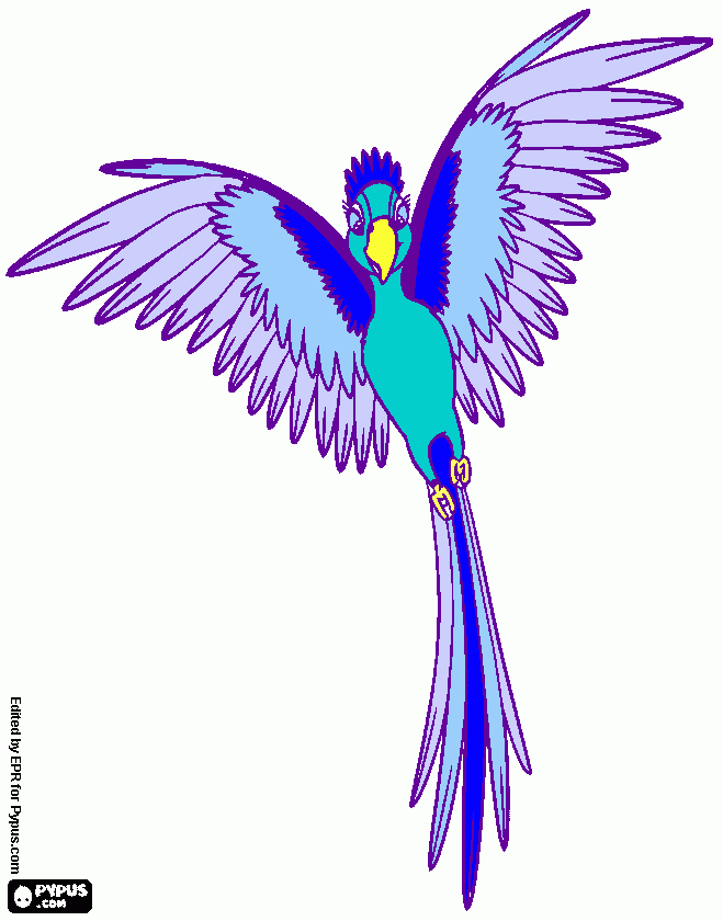 blue and violet parrot with long tail coloring page