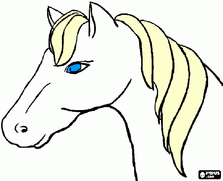 bonita head coloring page