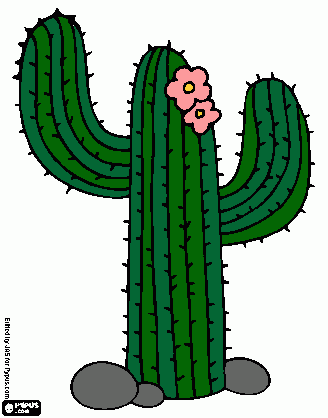 cactus coloring page