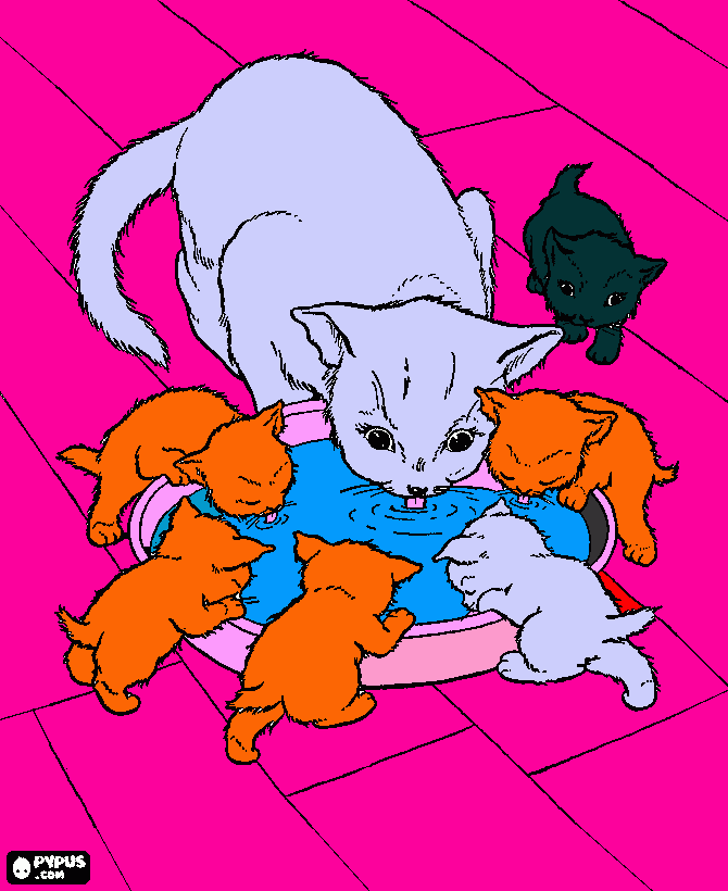cat and kitten picher coloring page