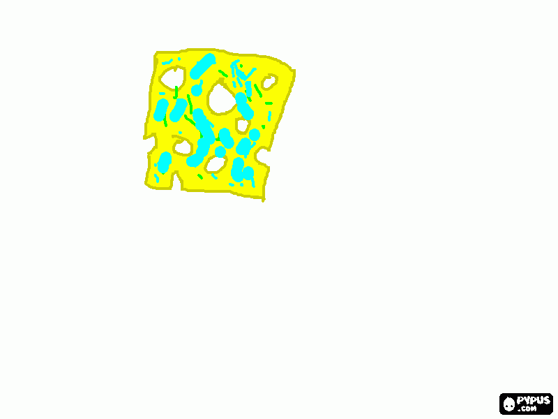 Cheese touch coloring page