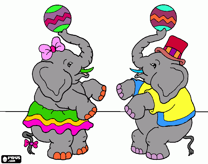 cirus coloring page