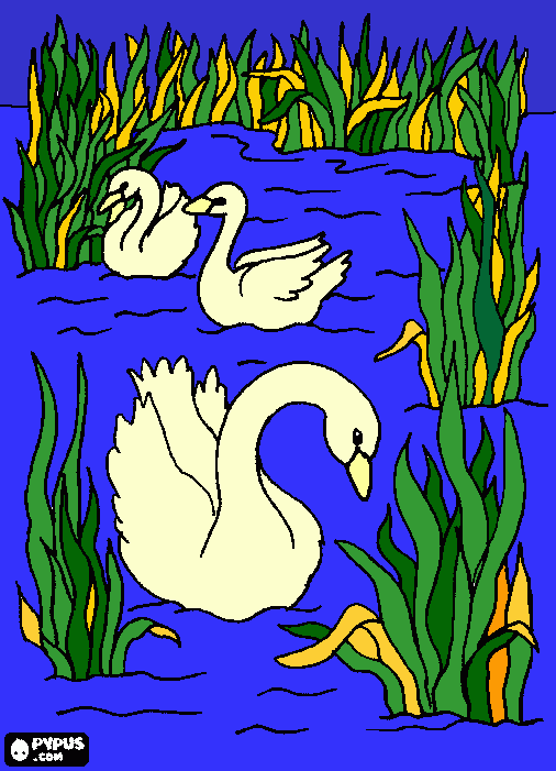 cisnes coloring page