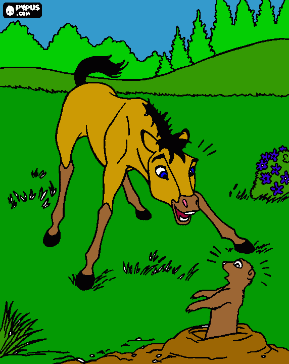 colt coloring page