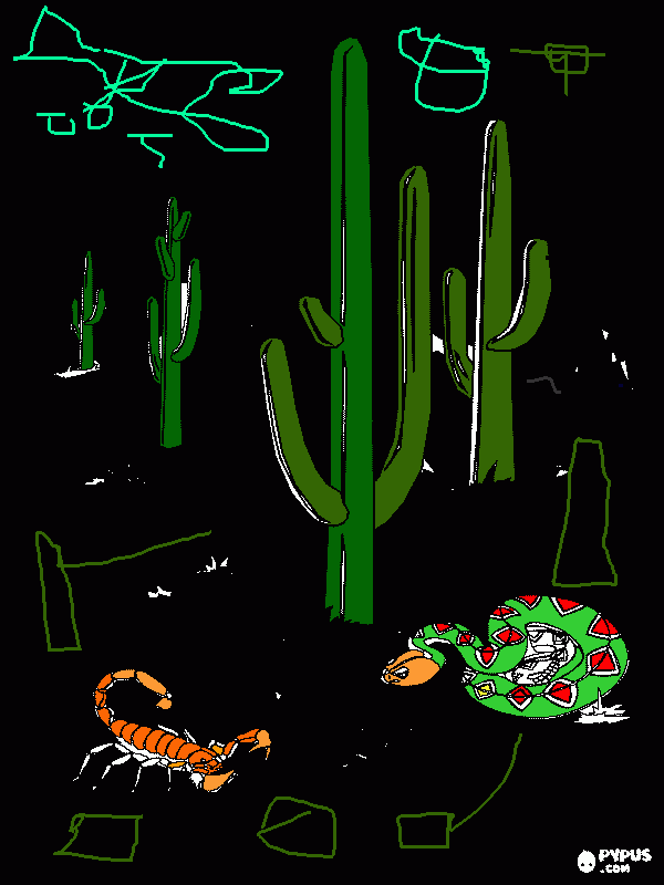 Desert night coloring page