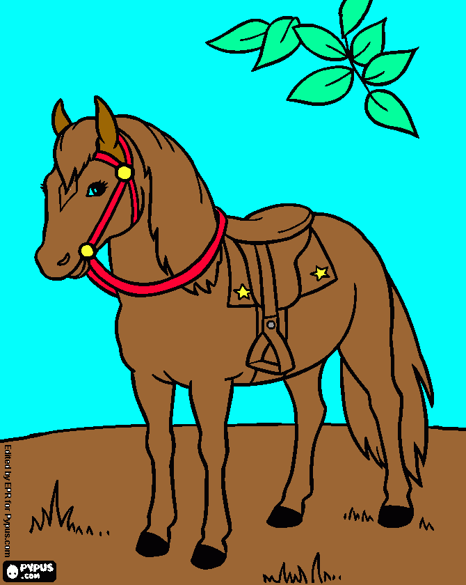 desse pink horse coloring page