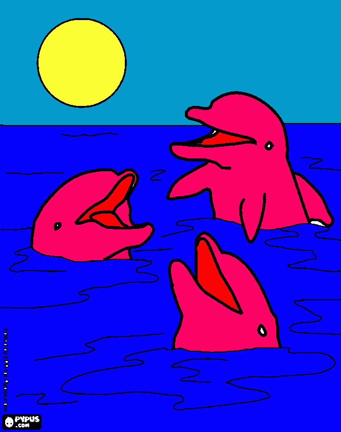 Dolphin for Taylor coloring page
