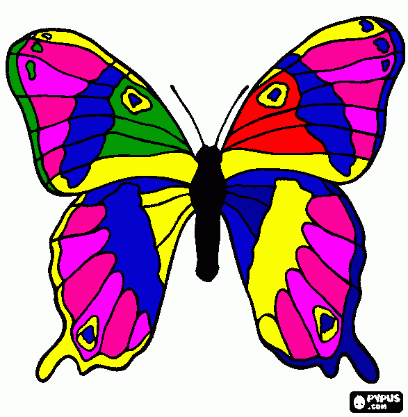 drugelis coloring page