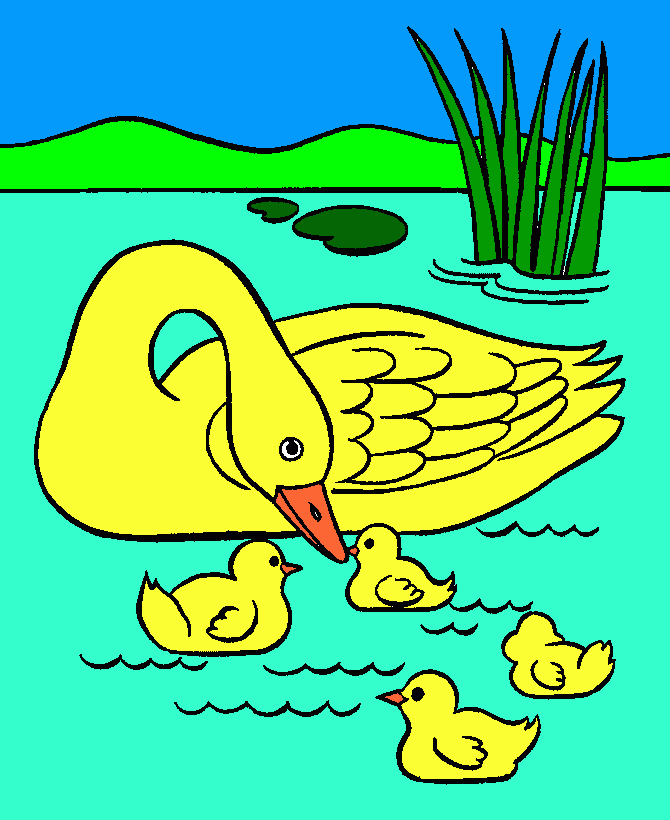 ducks coloring page