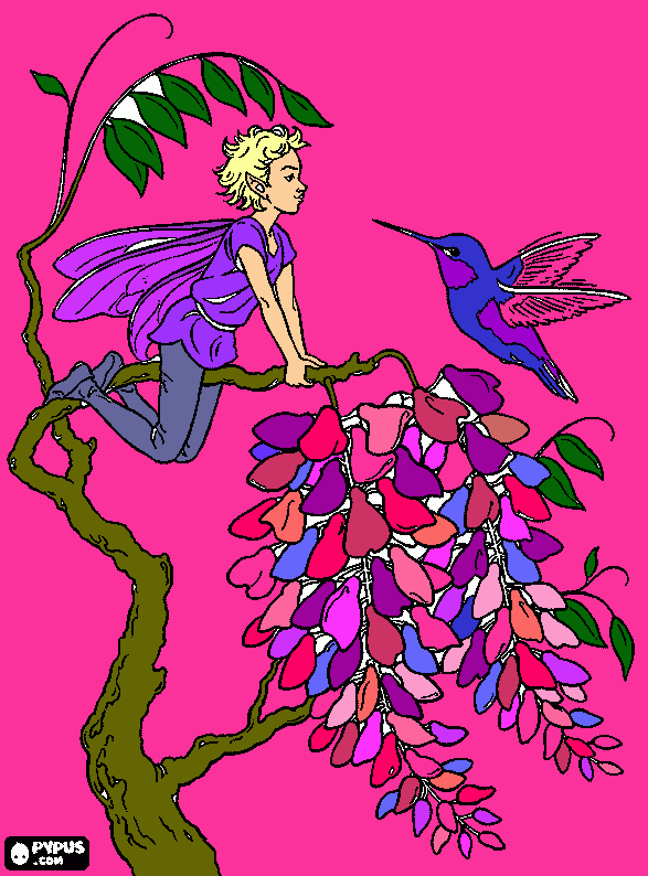 Fairy with hummingbird coloring page