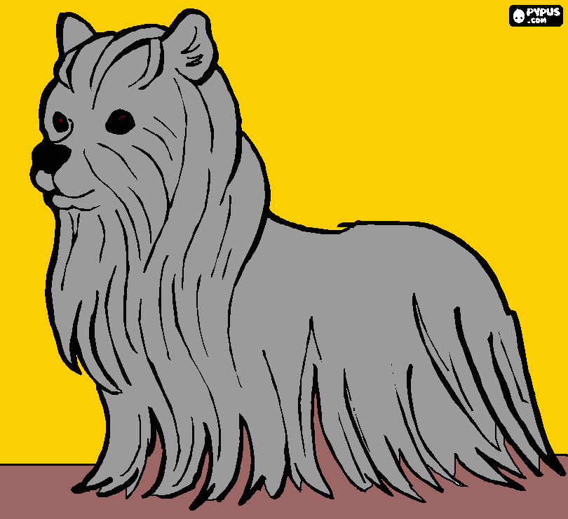 figa coloring page