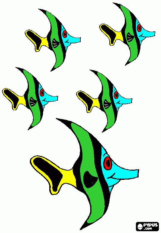 fish head coloring page