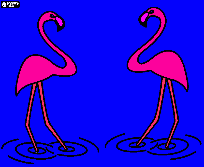 Flamingo  coloring page