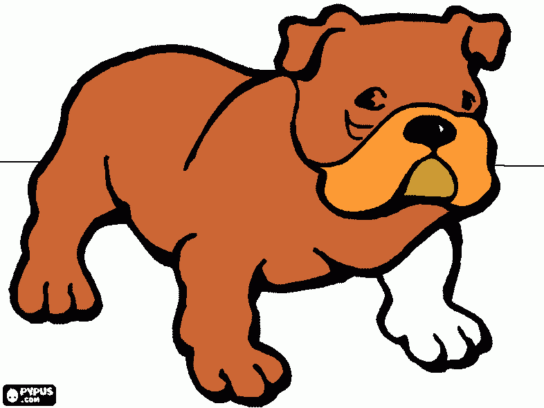 frinch bull dog coloring page