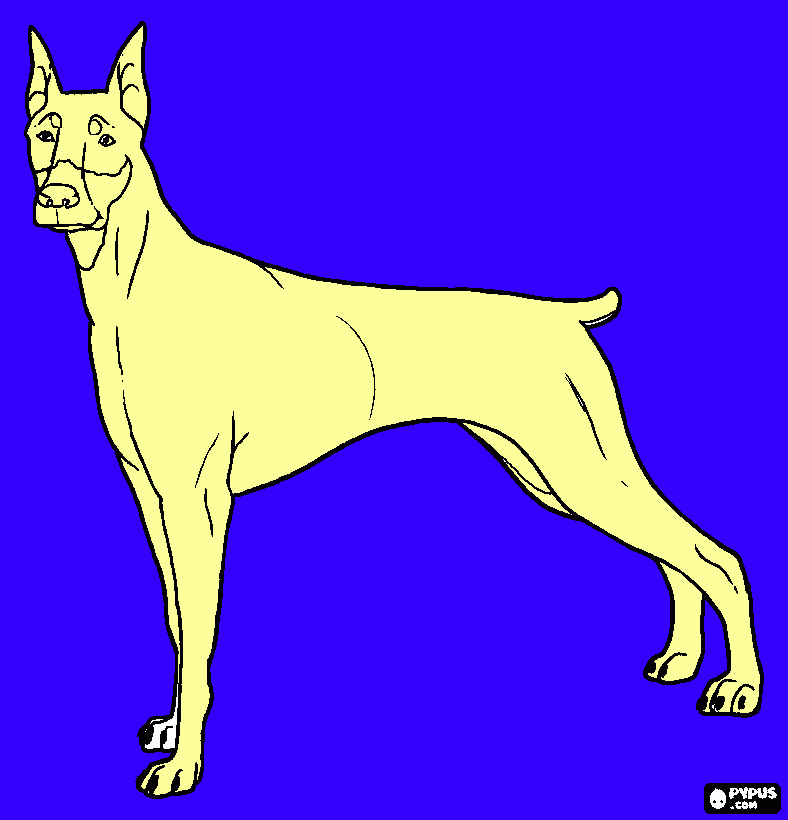 From Chance coloring page
