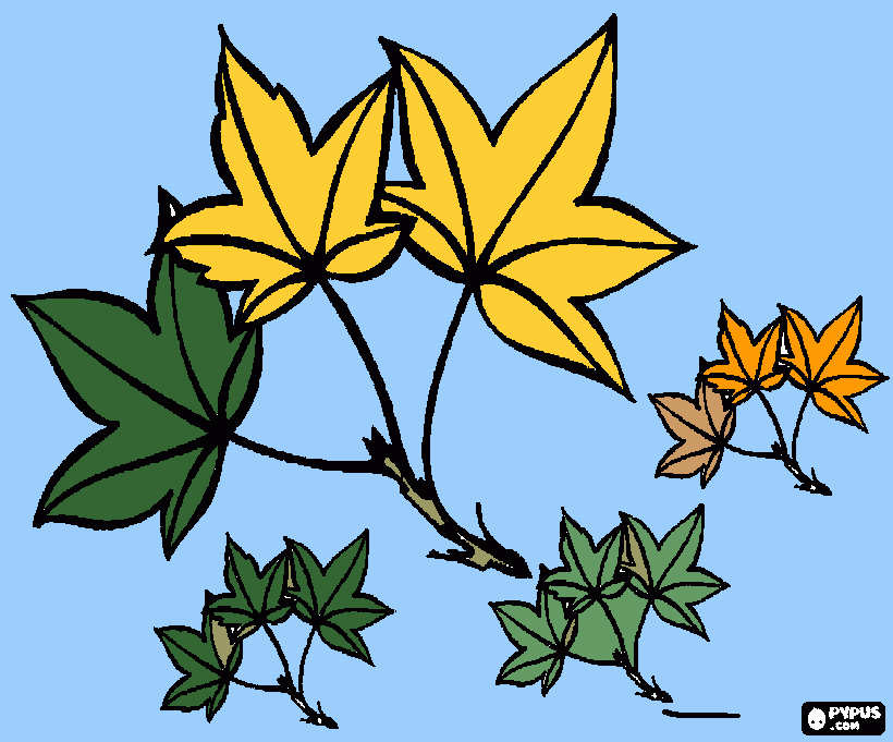 Frunze coloring page