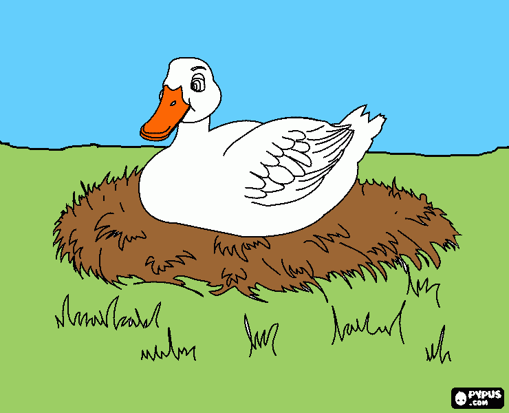 fula ankungen ruva coloring page