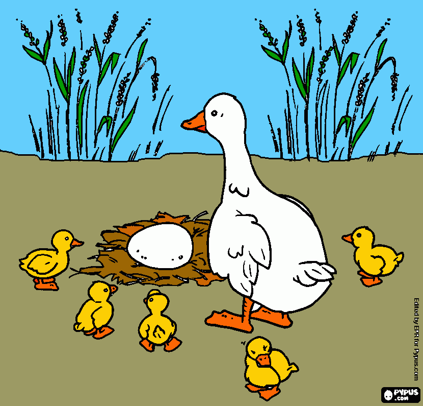 fula ankungen coloring page