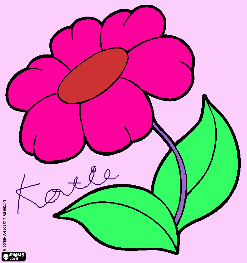 Gerbera coloring page