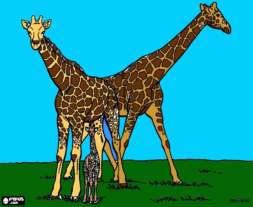 Giraffes for mo coloring page, printable Giraffes for mo