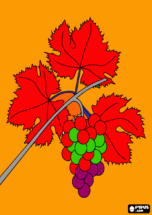 grape vine coloring page