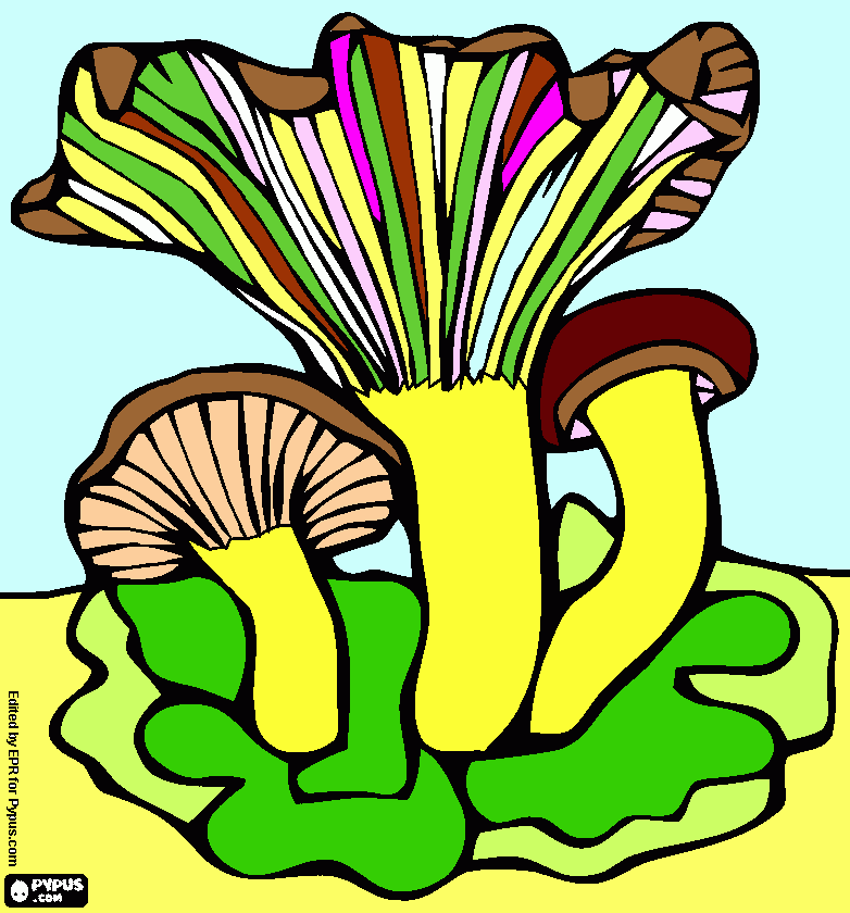 grzyb coloring page